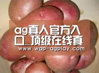 产品展示标题1