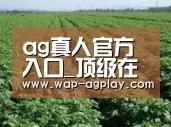 种植基地五