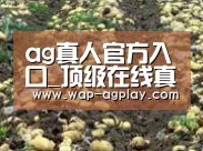 种植基地七